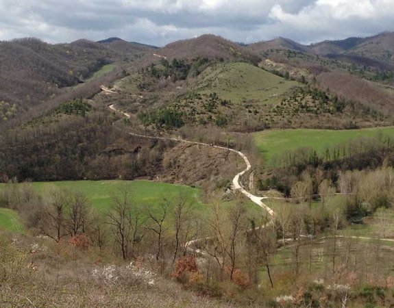 Una strada sterrata si snoda tra colline boscose.