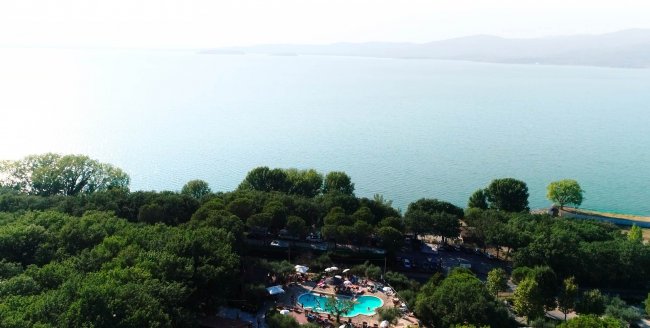 Vista aerea di una piscina e alberi vicino a un grande lago.