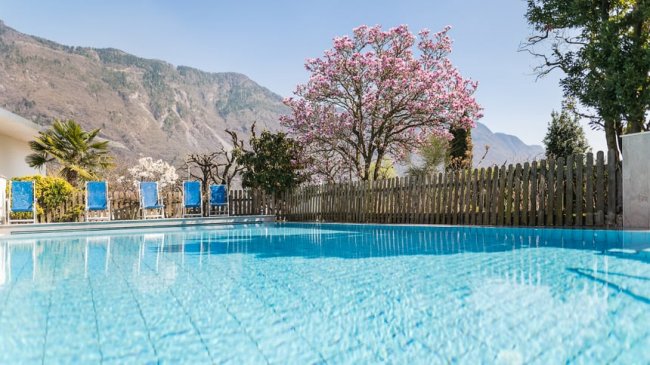 Piscina all'aperto con albero in fiore sullo sfondo.