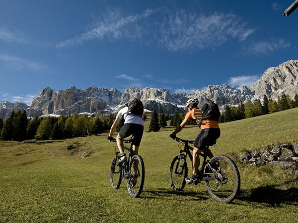 Due ciclisti su un sentiero montano erboso.