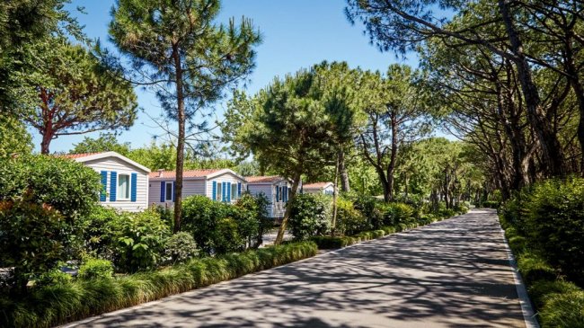 Strada con case mobili tra alberi.