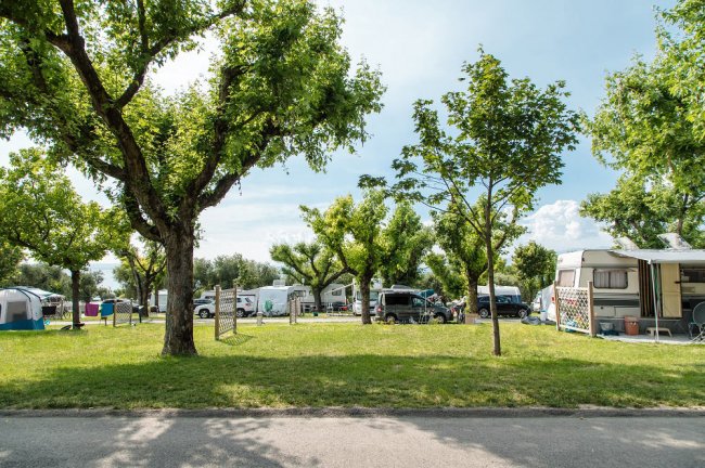 Camper e roulotte in un campeggio soleggiato con alberi.
