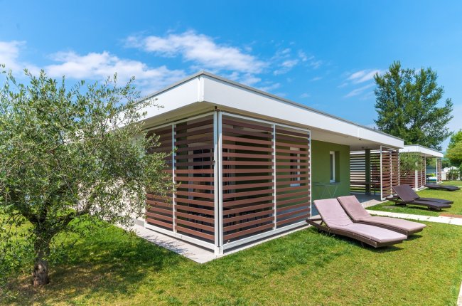 Bungalow moderno con lettini e albero d'ulivo.